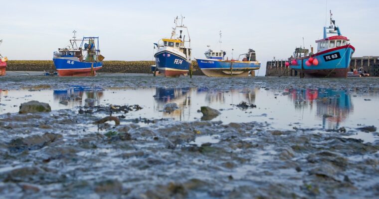 Folkestone Harbour