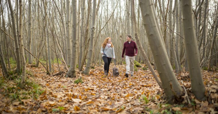 dog walk in woodland