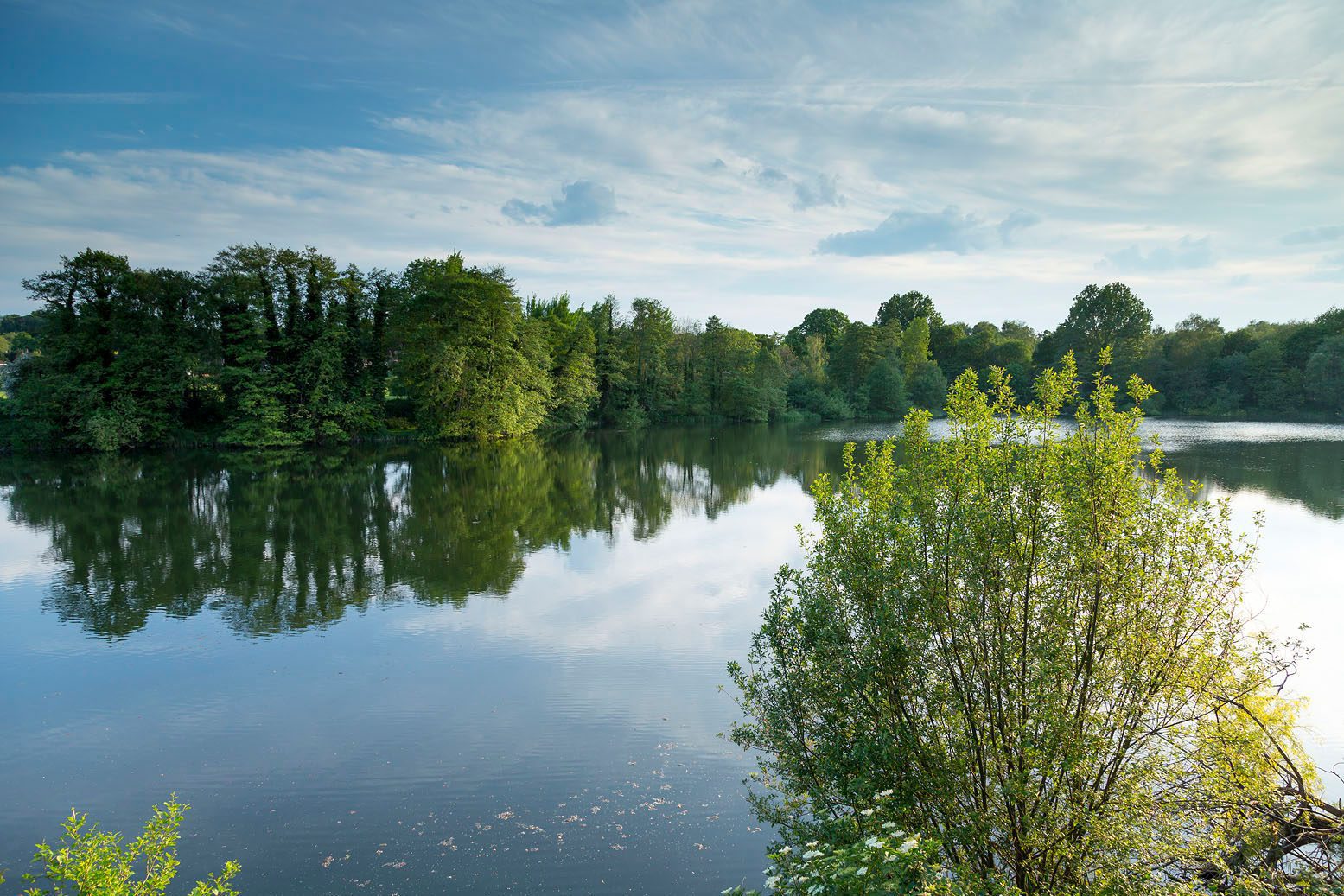 A tranquil lake surrounded by lush greenery, with its calm waters reflecting the trees and partly cloudy sky. A bush with vibrant green leaves sits in the foreground, adding depth to the serene natural landscape.