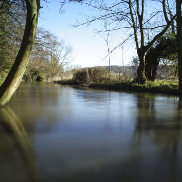 Still water with trees on the banks