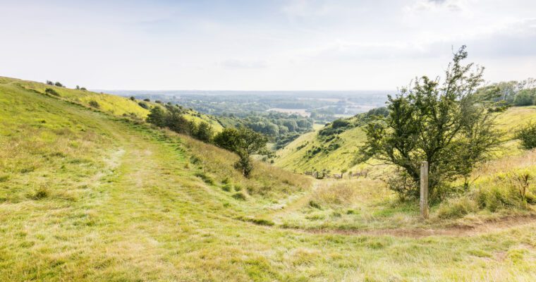 Wye Landscape