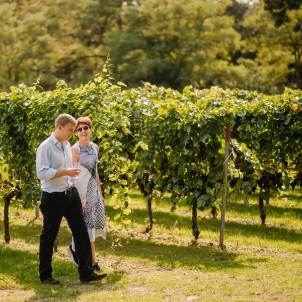 A man and woman wearing formal attire walking through a vineyard holding champagne flutes
