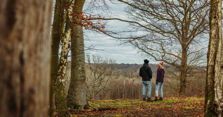 North Downs Way - Chilham to Canterbury