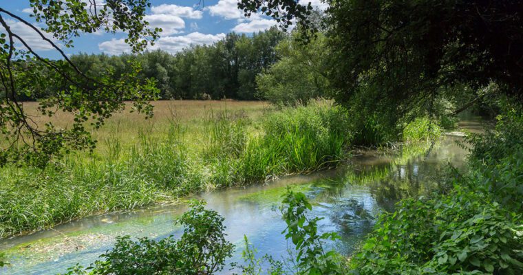 River Darent, Chalk Stream, Shoreham, Cross-Channel Geopark_Jen Smith
