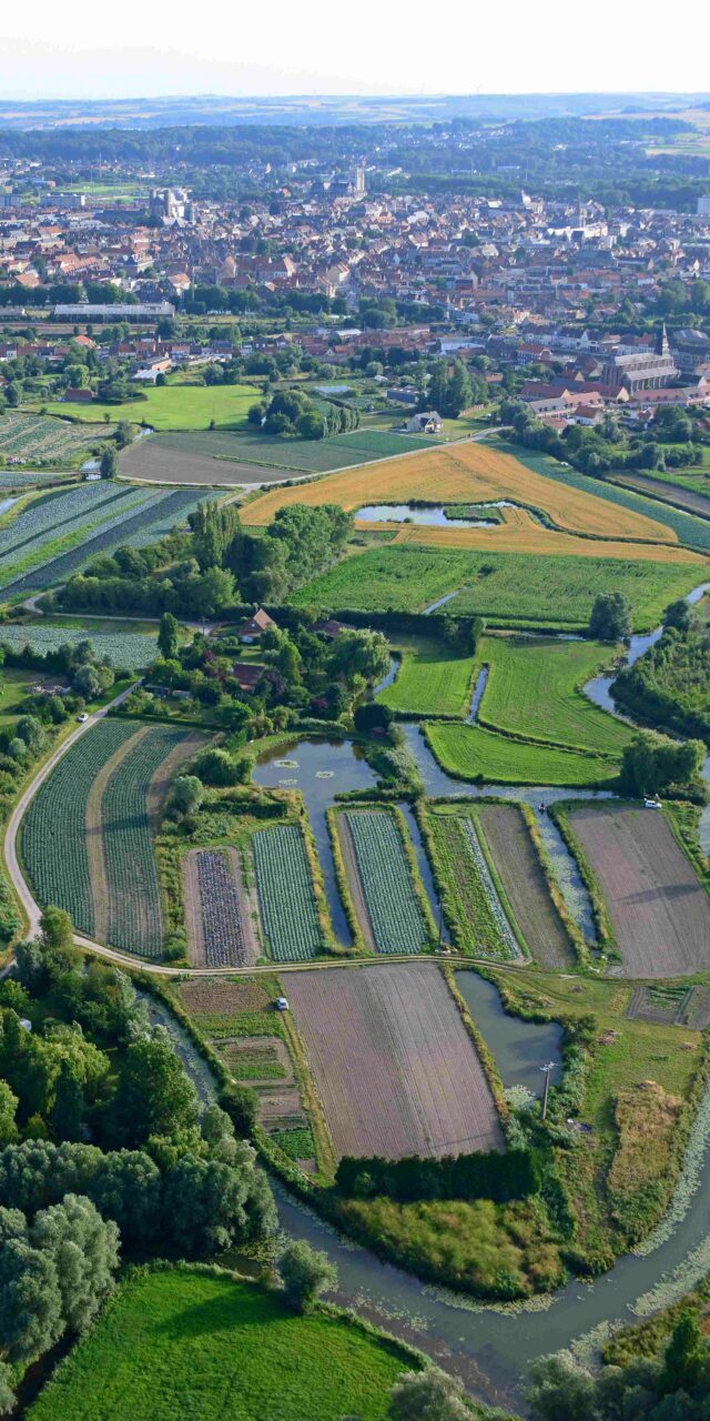 Vue-aerienne-du-marais-Audomarois-PNRCMO-©FrutierAltimage