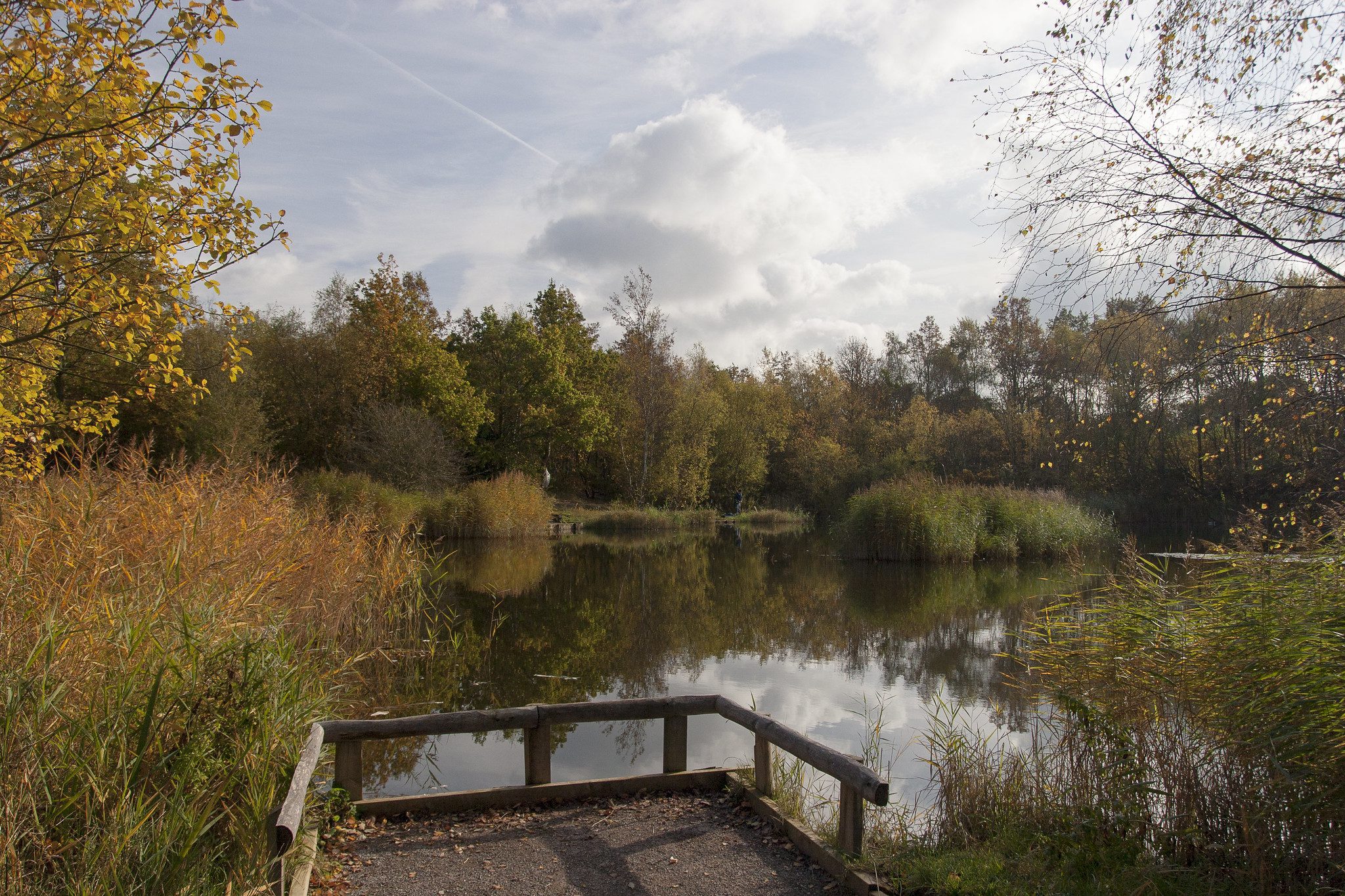 Parc national de Shorne Woods