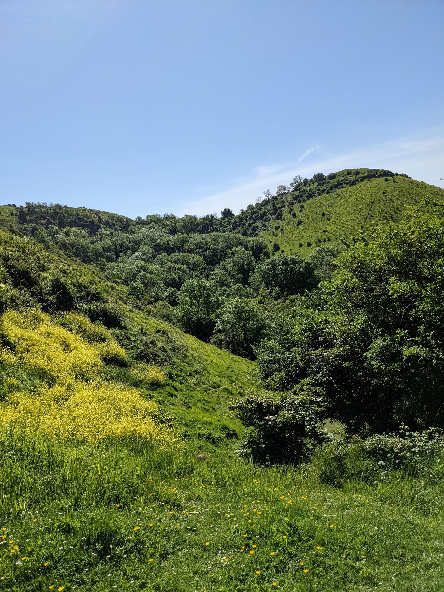 Folkestone Downs, Geopark_Kate à travers la Manche Hickey