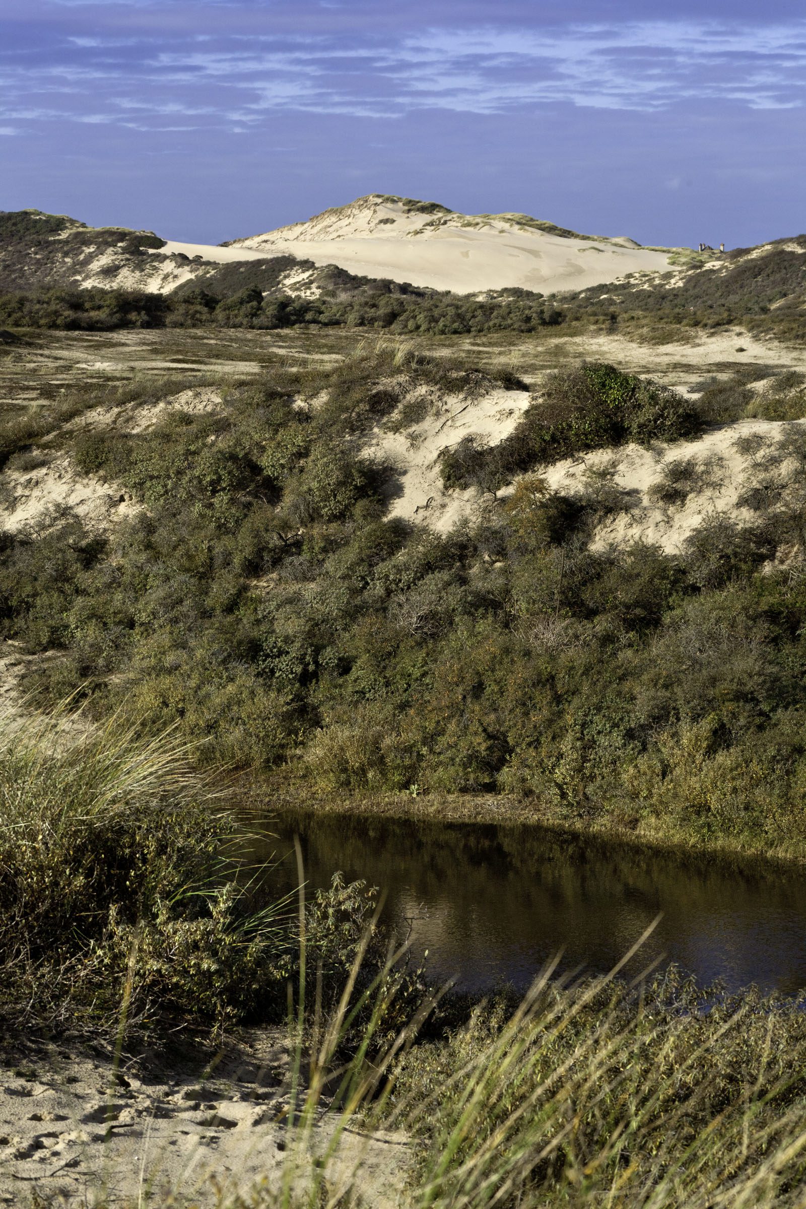 dunes_de_slack © Eden 62 - Fabien COISY