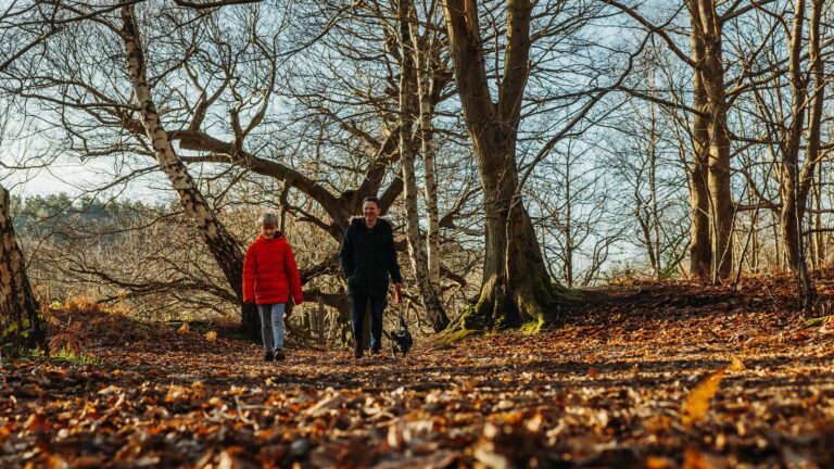 Two people walking through a forest along a leaf-covered path, surrounded by tall pine and bare trees.