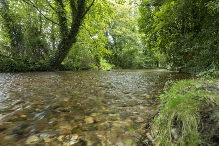 La rivière Darent