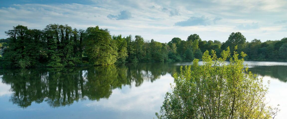 Sevenoaks Nature Reserve Aspect Ratio 1152 480