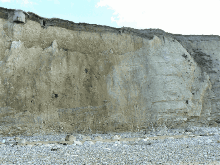 Image  1  11zon