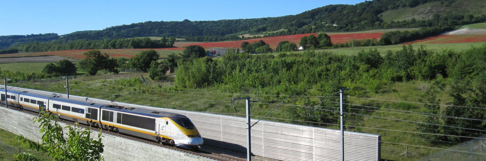 A high-speed train moves along an elevated track through a lush countryside. The scene is framed by greenery, rolling hills, and fields with patches of red under a clear blue sky.