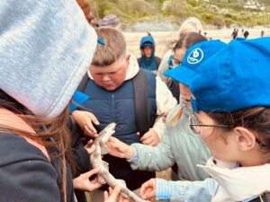 A group of children gather closely on a beach, examining and gently holding a small spotted fish or marine creature during an outdoor educational activity.
