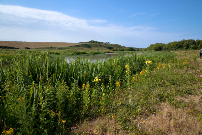 Baie De Wissant @Fabien Coisy (1)