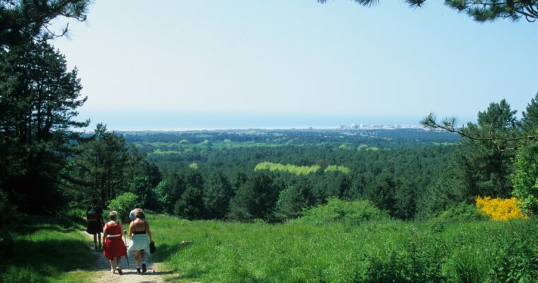@OlivierLeclerc Mont Saint Frieux 11zon