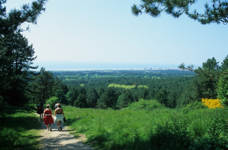 @OlivierLeclerc Mont Saint Frieux 11zon