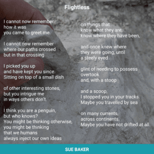 TEMPLATE Geopark Caption + Graphic Sand (3)
