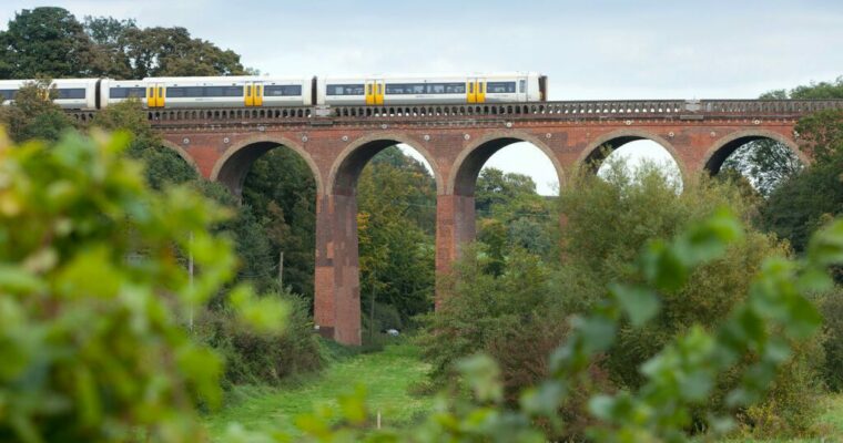 36090908986 Be67b1dc96 H 1024x683 (1)