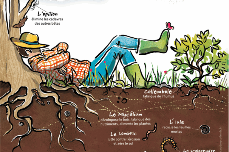 Capture D'écran 2025 09 19 093941