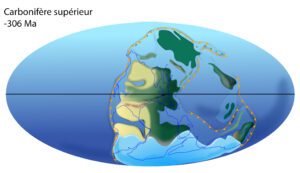 ©F. Thirion D Après C. Scotese Carbonifère