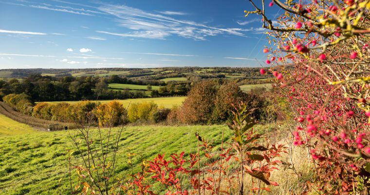 53344531281 884c12b6ea O