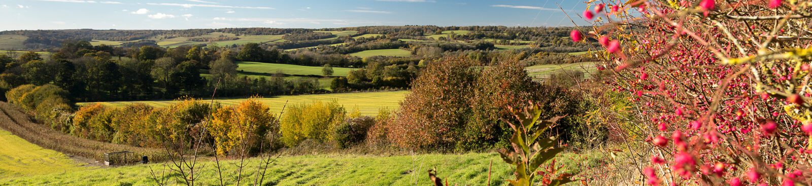 53344531281 884c12b6ea O Aspect Ratio 1600 367