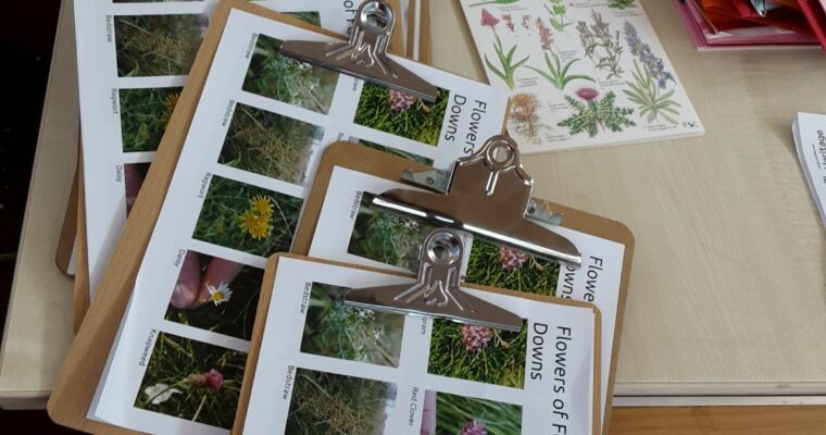 Thumbnail 20230816 100544