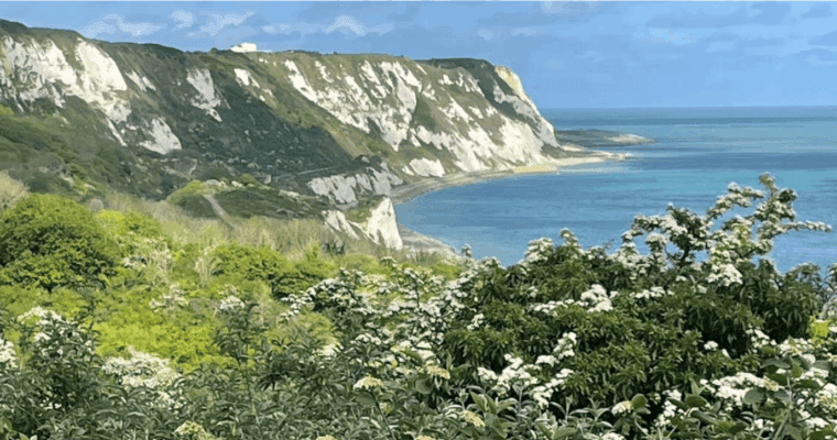 Warren Aspect Ratio 760 400