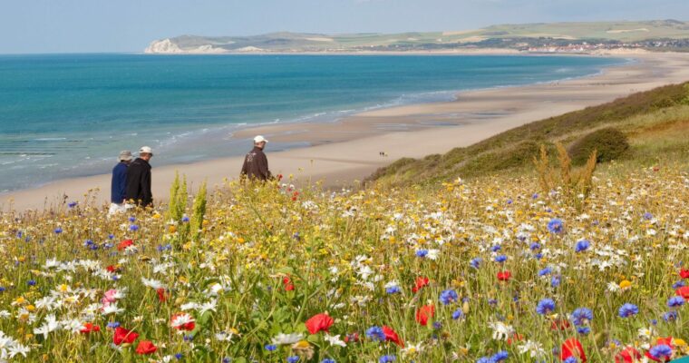 7 Aspect Ratio 760 500