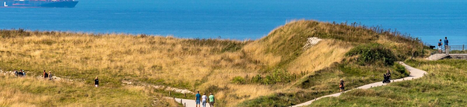 6 Aspect Ratio 1600 367