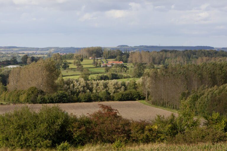 24 Bis. Vue Depuis Le Mont De La Calique (Vieil Moutier) 2 (1) (1) (1)