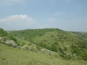 Coteau De Wavrans