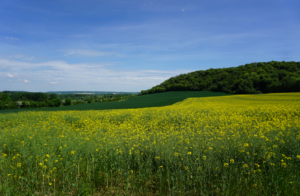 Mont Hulin