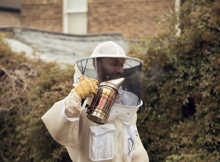 Bees And Refugees Aspect Ratio 760 560 1 Aspect Ratio 760 560