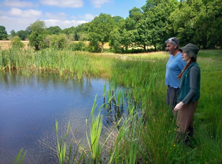 Kentish Stour Aspect Ratio 760 560