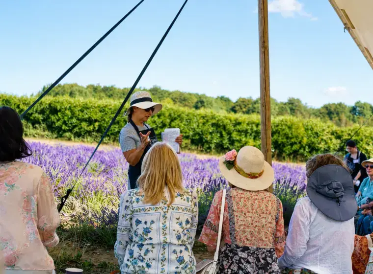 Lavender Guided Tours At Castle Farm Aspect Ratio 760 560