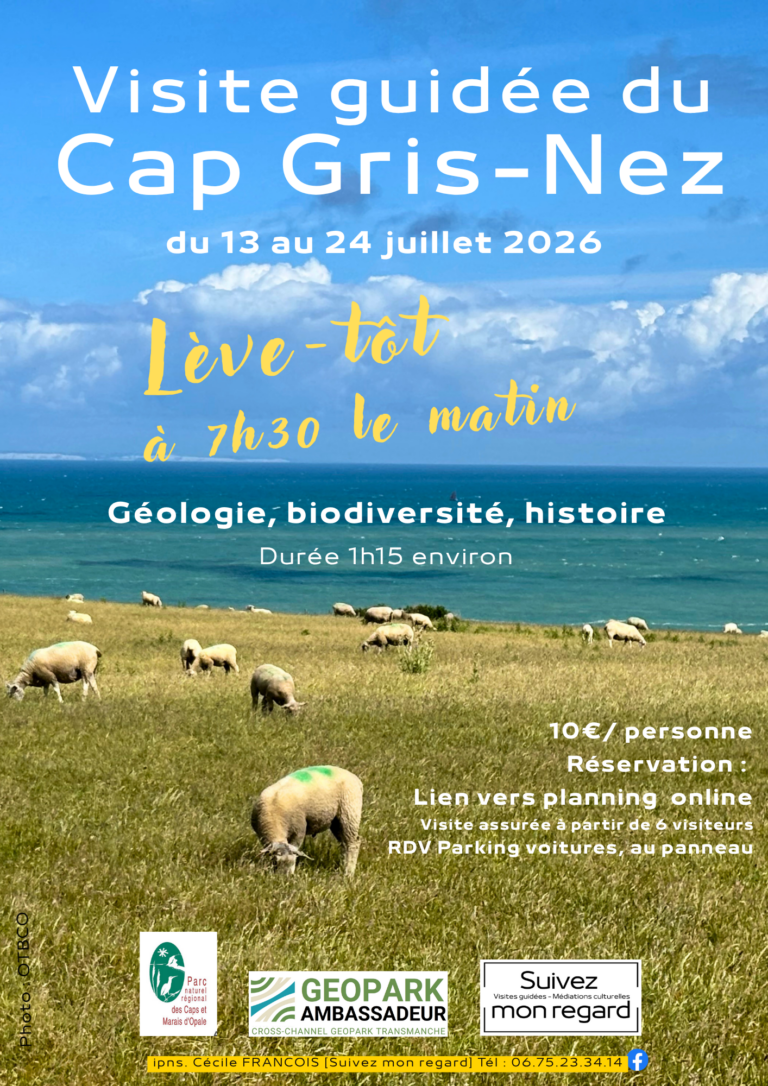 Lève Tôt Cécile