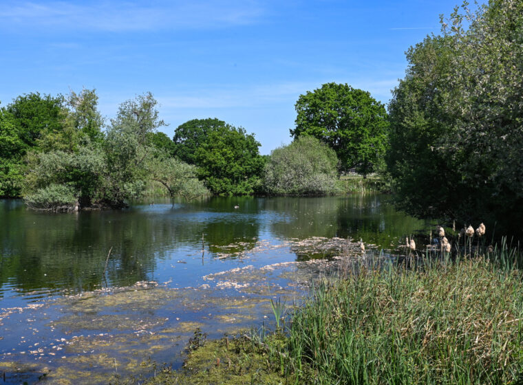Kent Wildlife Trust 1 Aspect Ratio 760 560