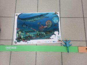 Paléoenvironnement