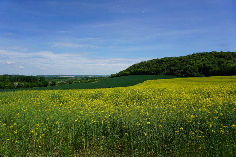 Entrée Sentier Du Mont Hulin